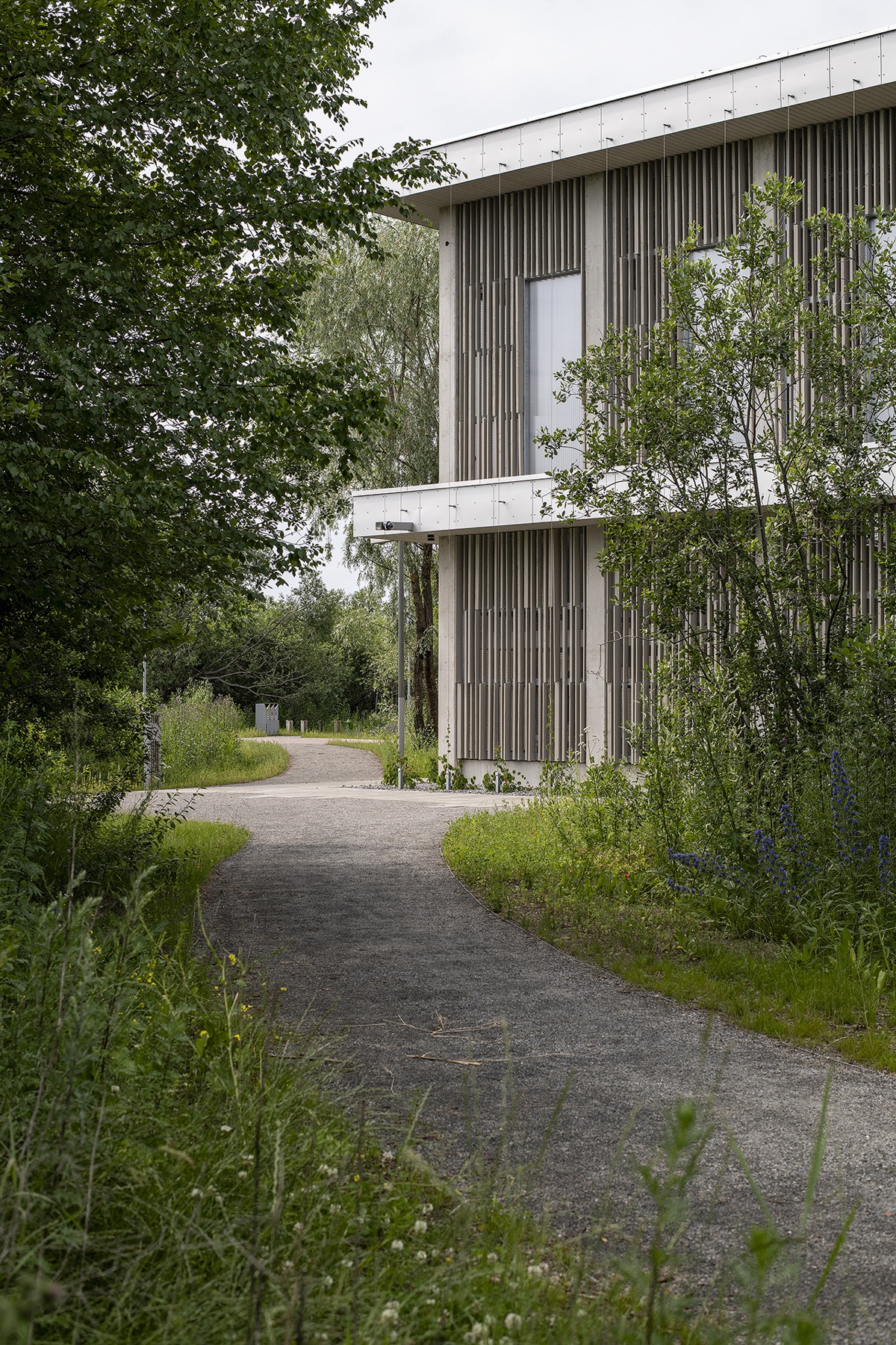 Kogukonnaaed hoone taga, võrkkiiged pargis