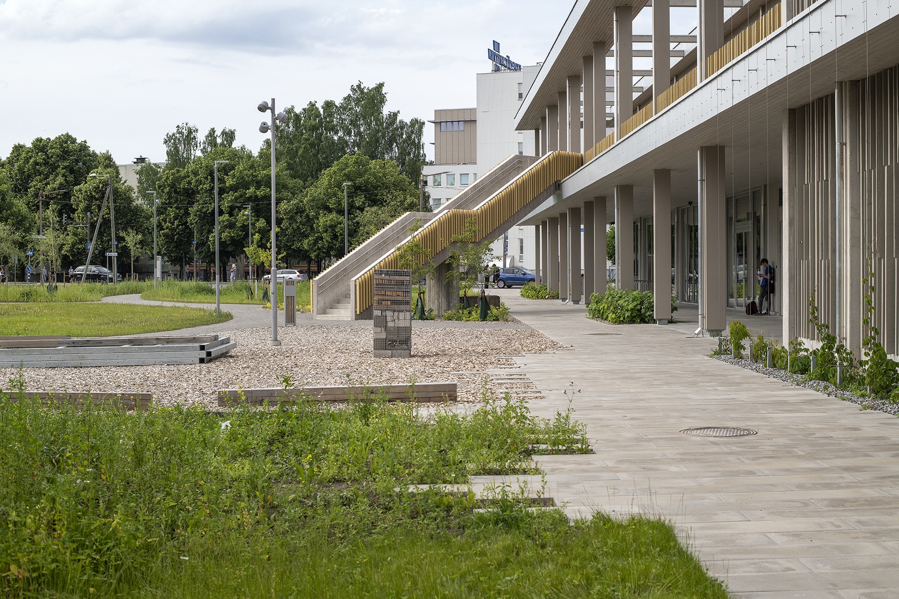 Jalgtee säilitatud haljastuse vahel